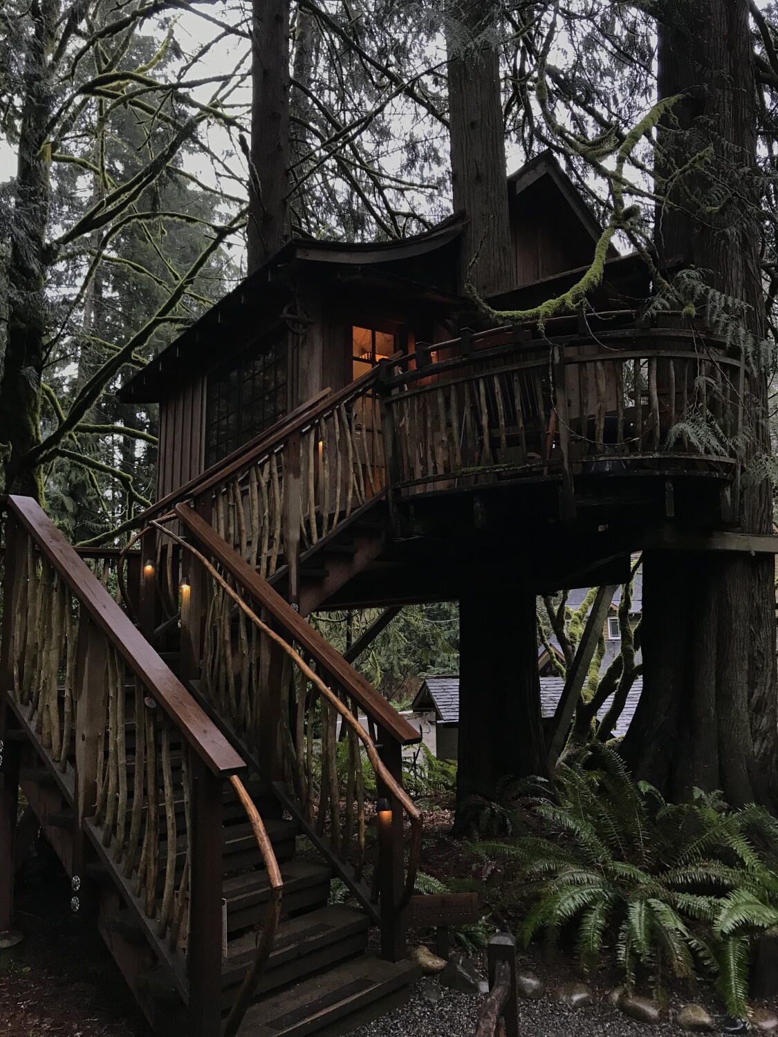 Tree House Point