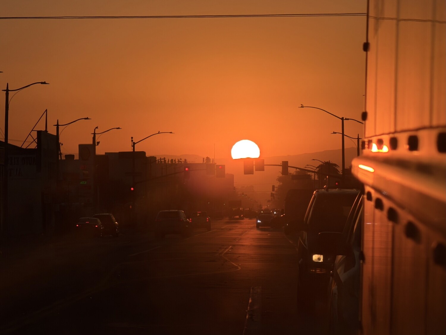 Sunrise Hustle and Bustle