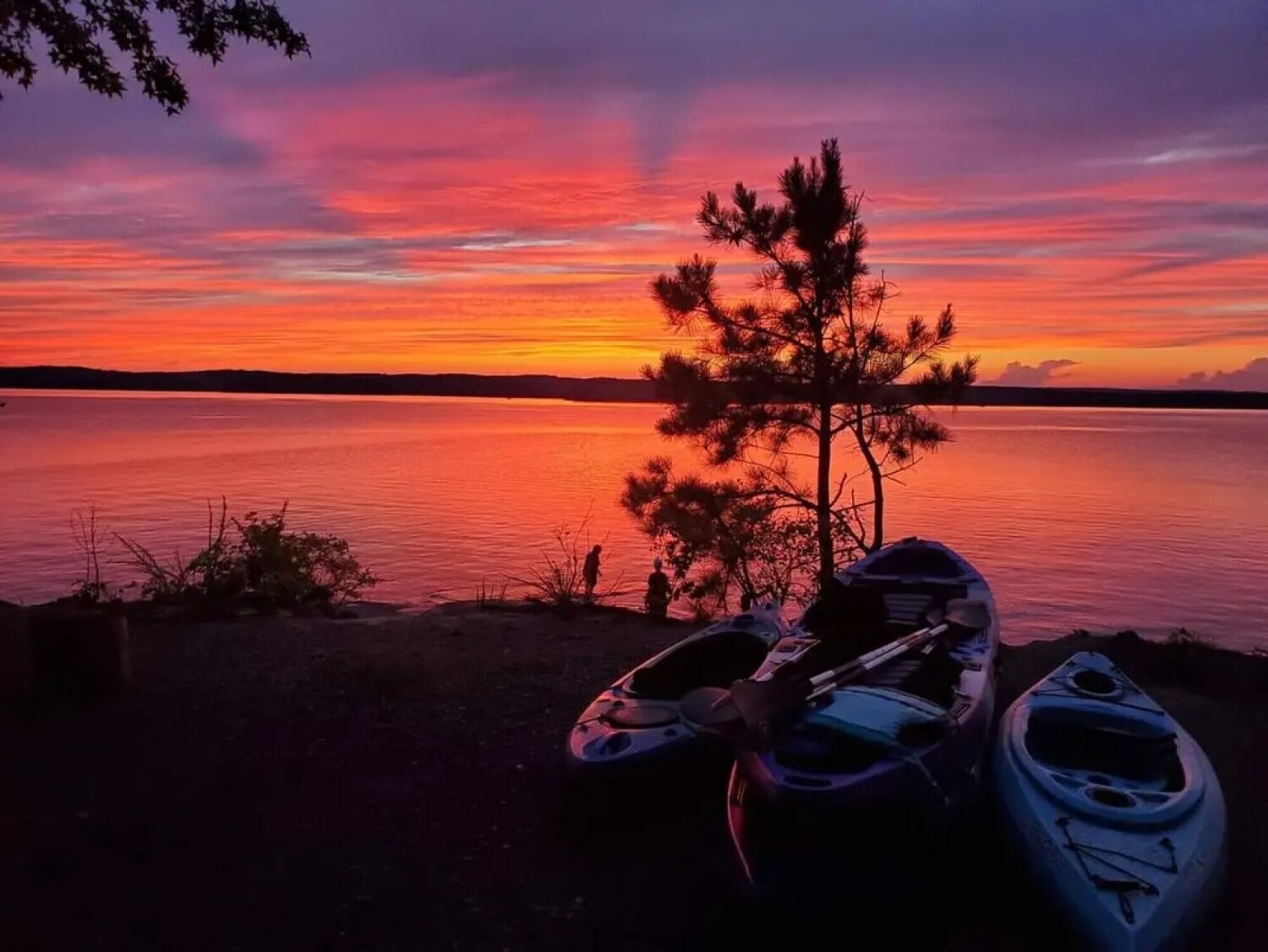 Serene sunset