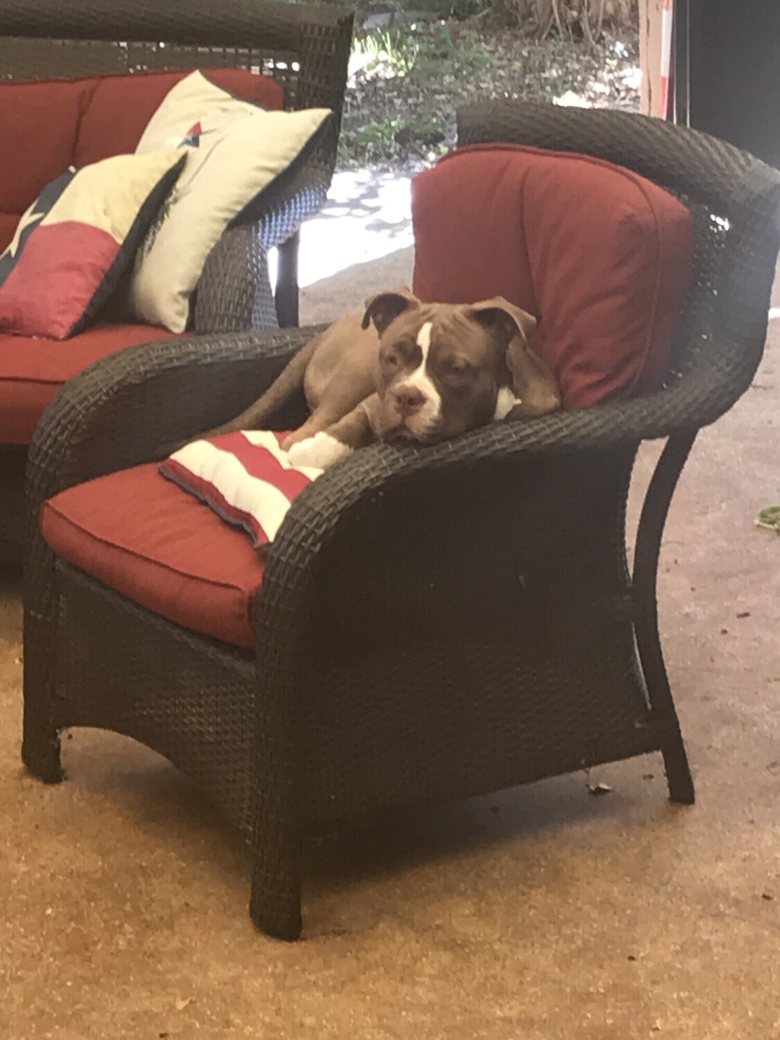 Hank Hanging out