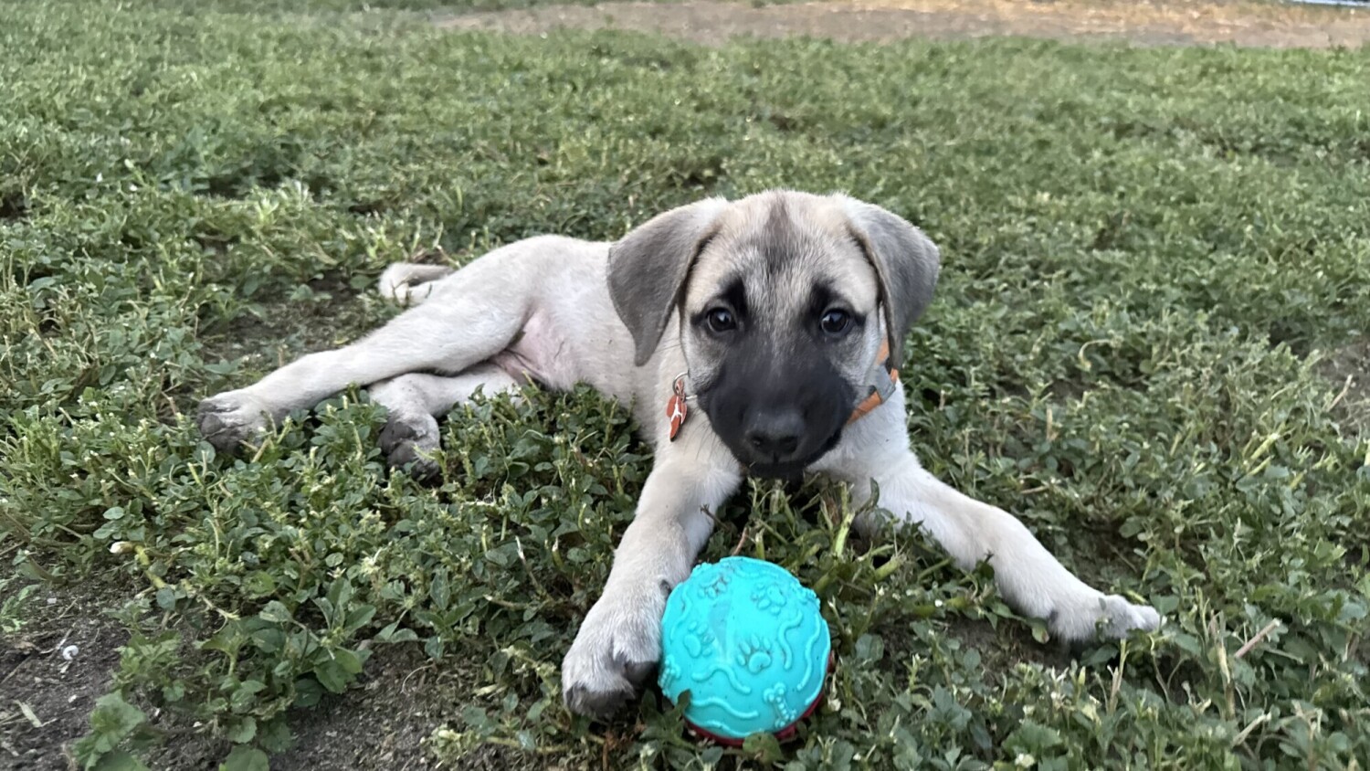 Day in the park