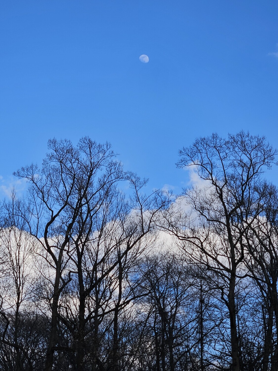 Moon Rising