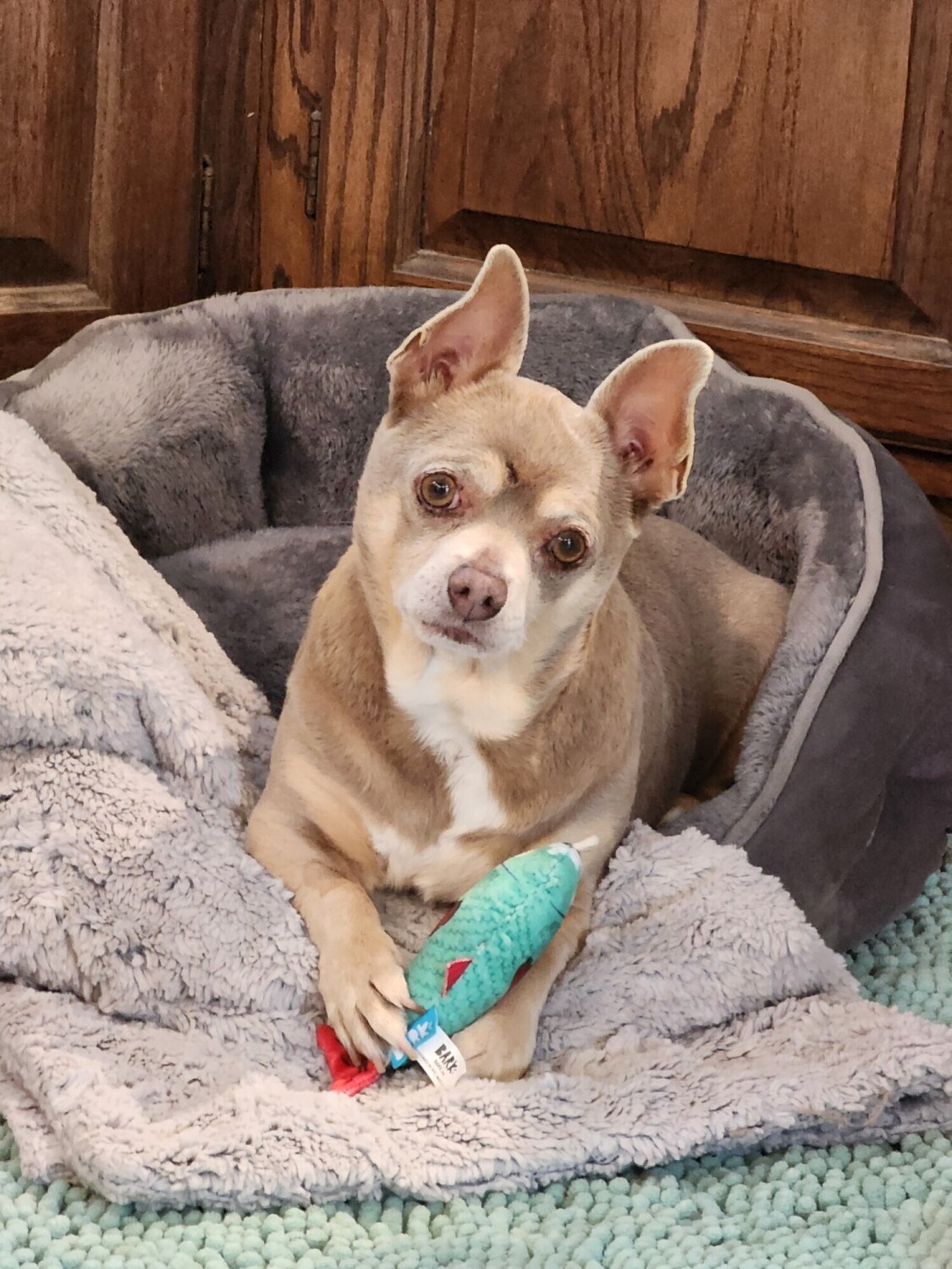 Welcome to your forever home