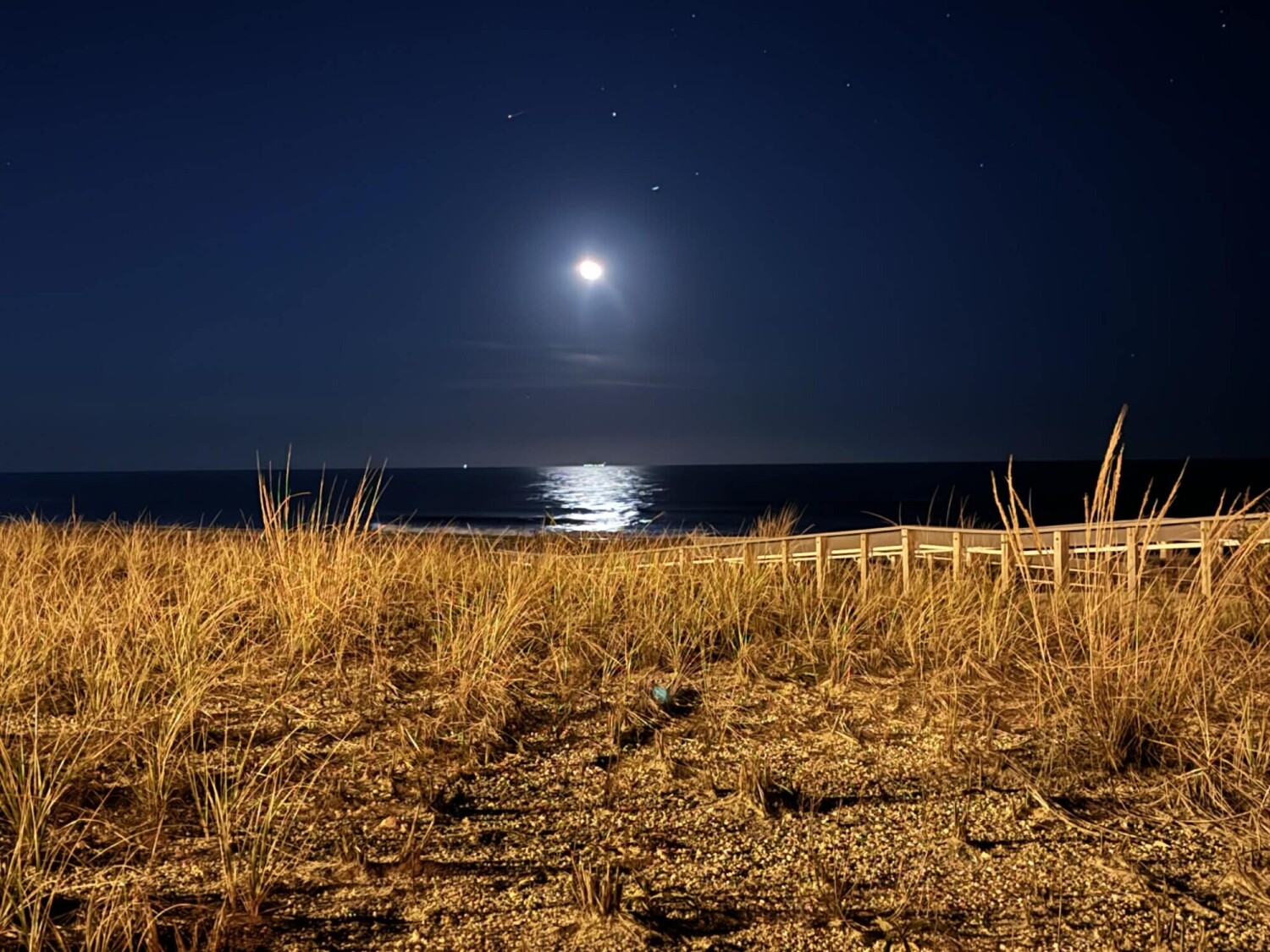 Night time bliss