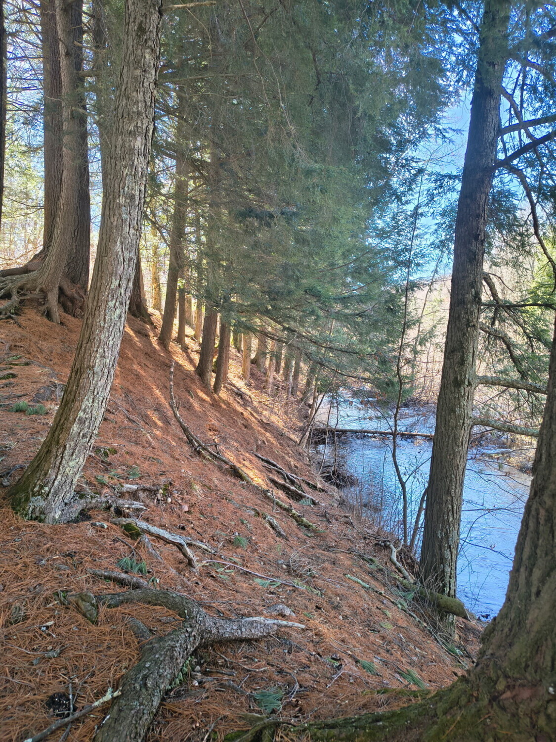 Ice Age Trail