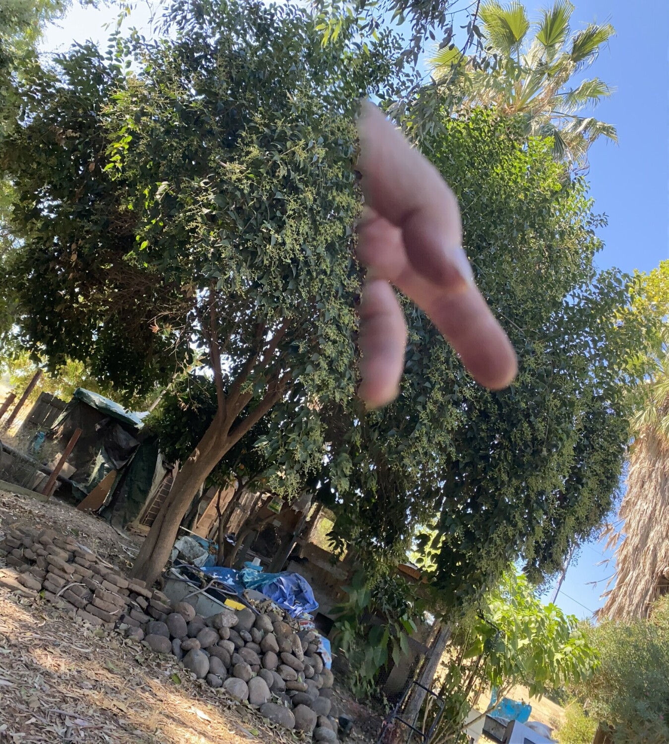 Sky Hand