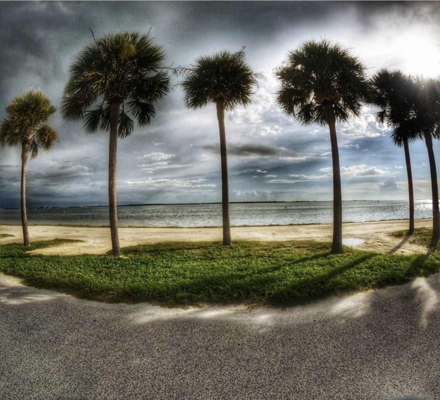Beauty in the storm