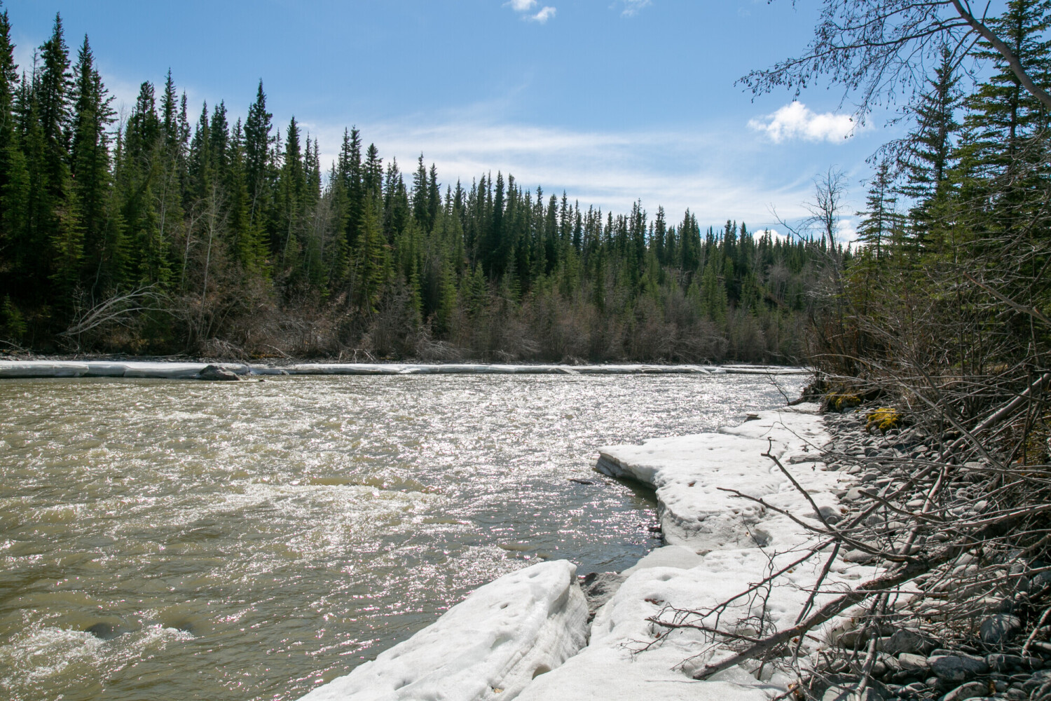 Where the land meets the river