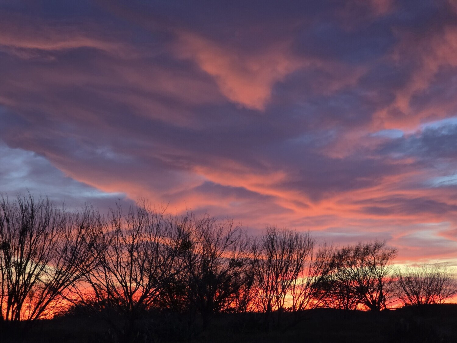 Floresville,  Tx sunset