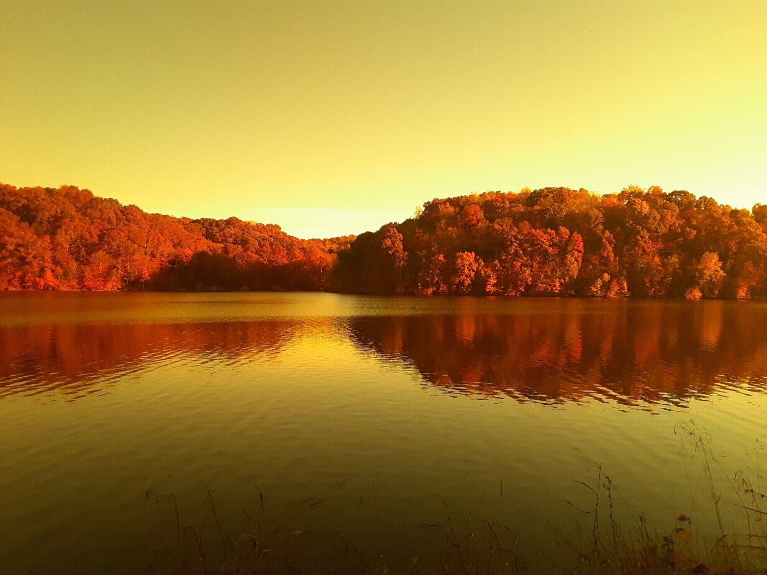 Lakeside