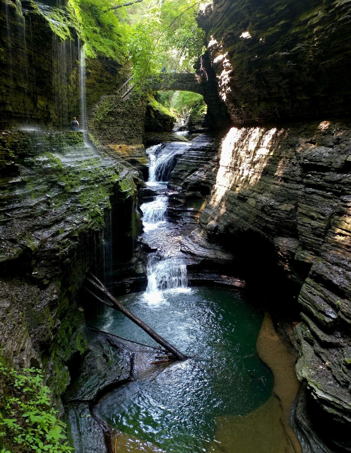 Watkins Glen