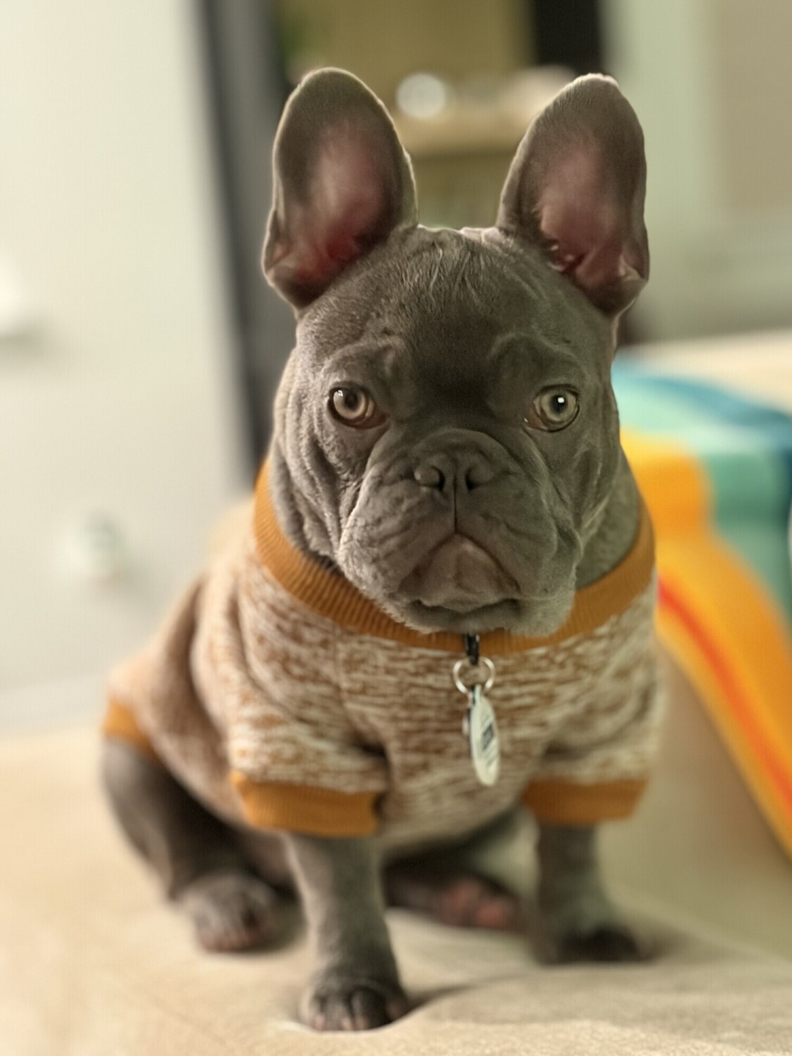Blu
