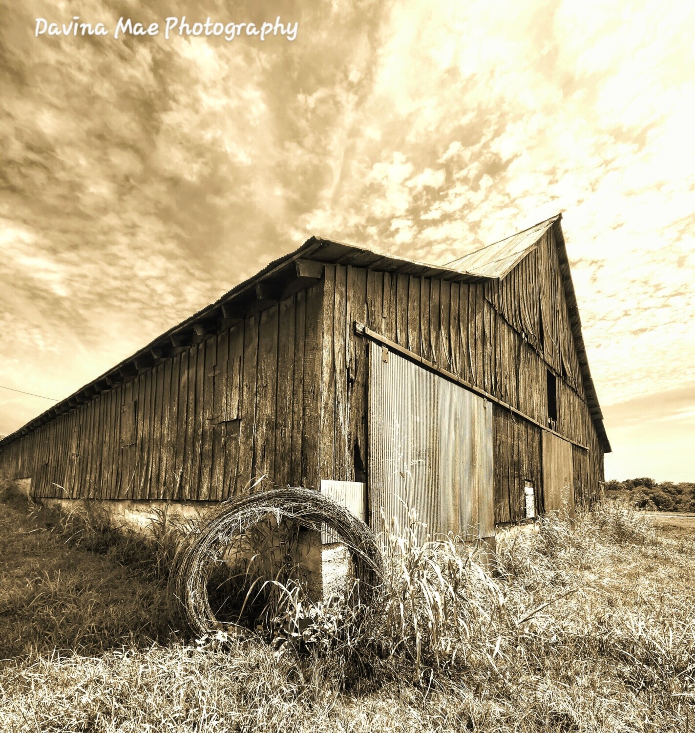 Timeless timbers