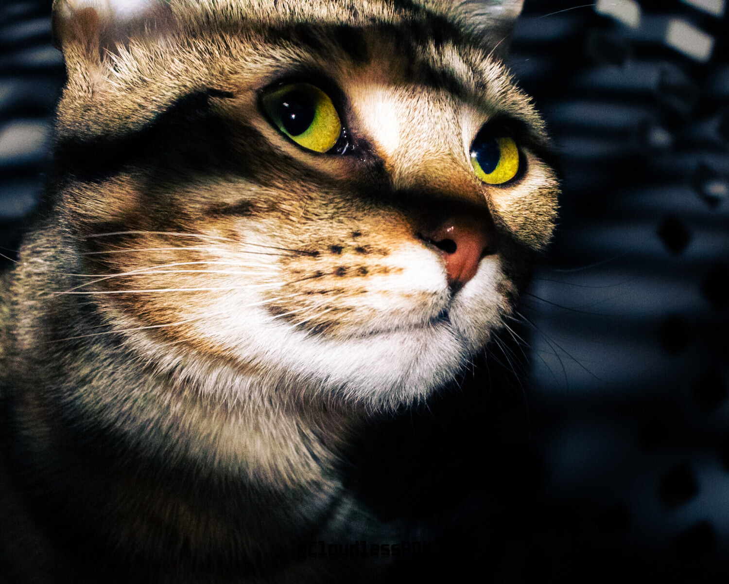 Hidden in shadows