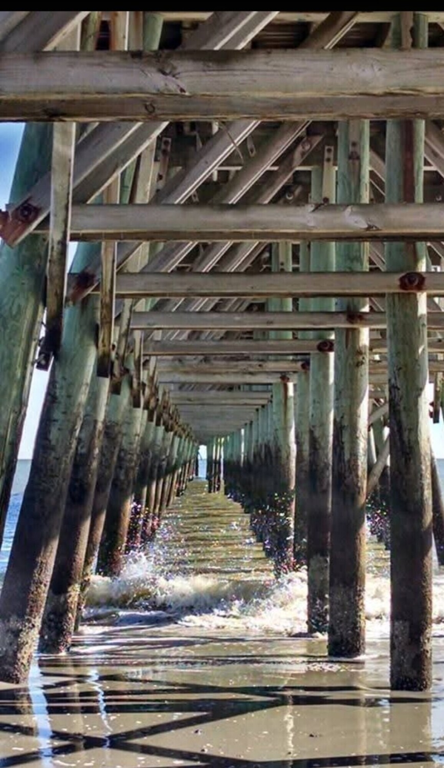 Under the boardwalk