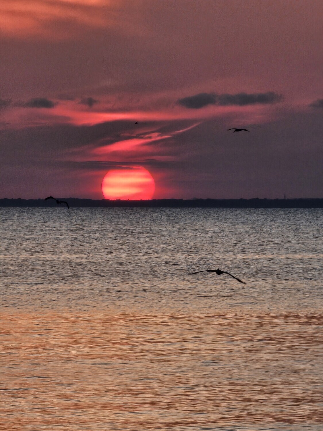 Sunset over Mobile Bay
