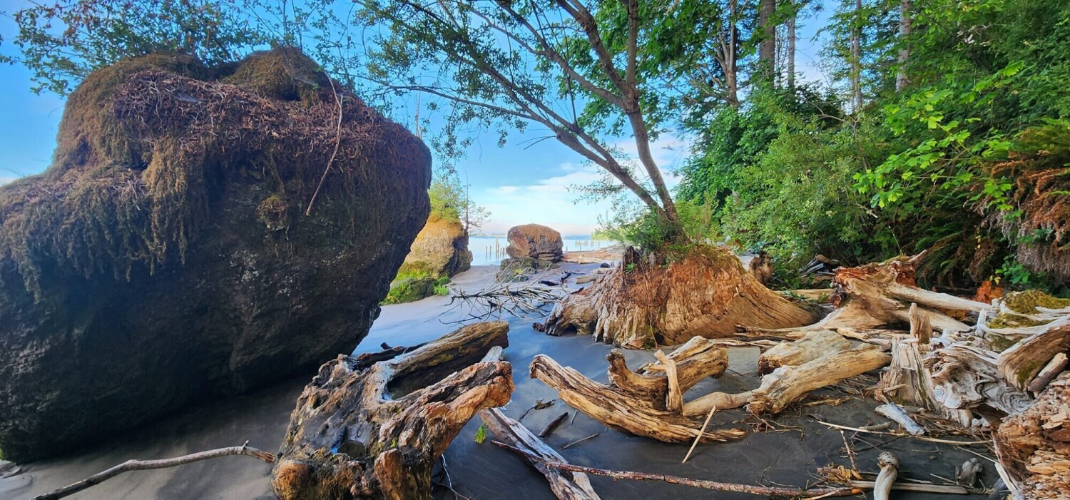 Low tide magic.
