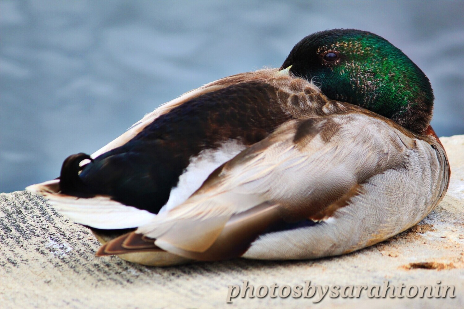 Unhidden Emerald