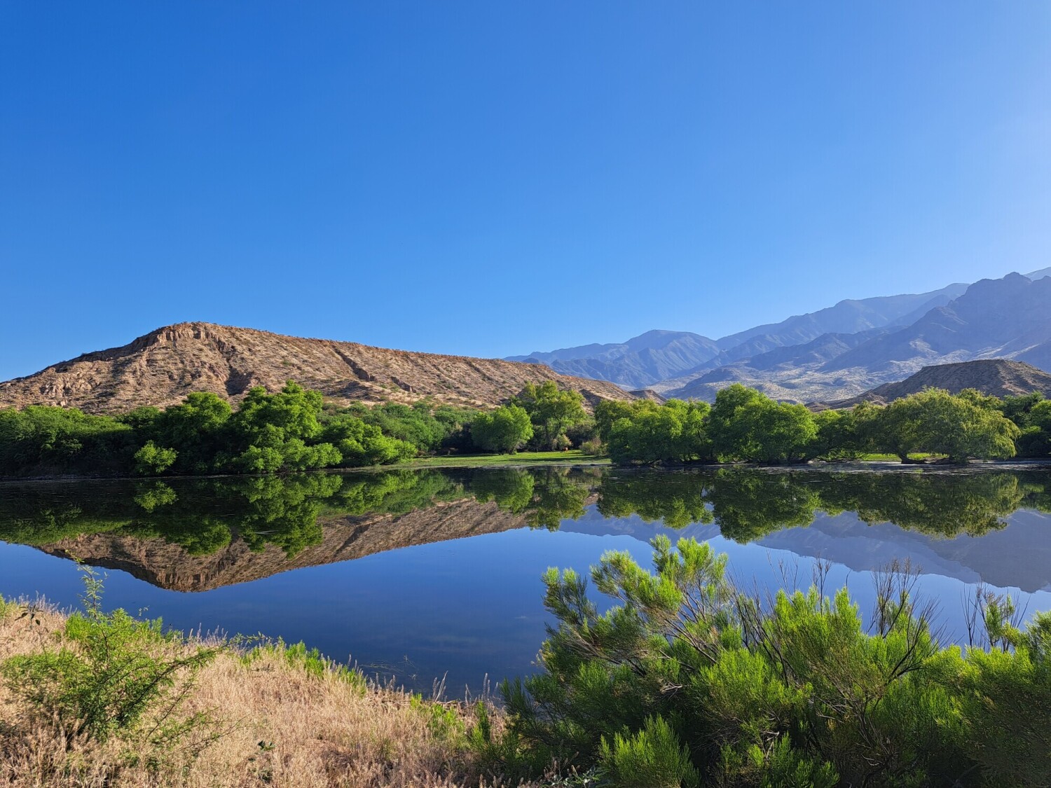 A Fleeting Arizona Gem
