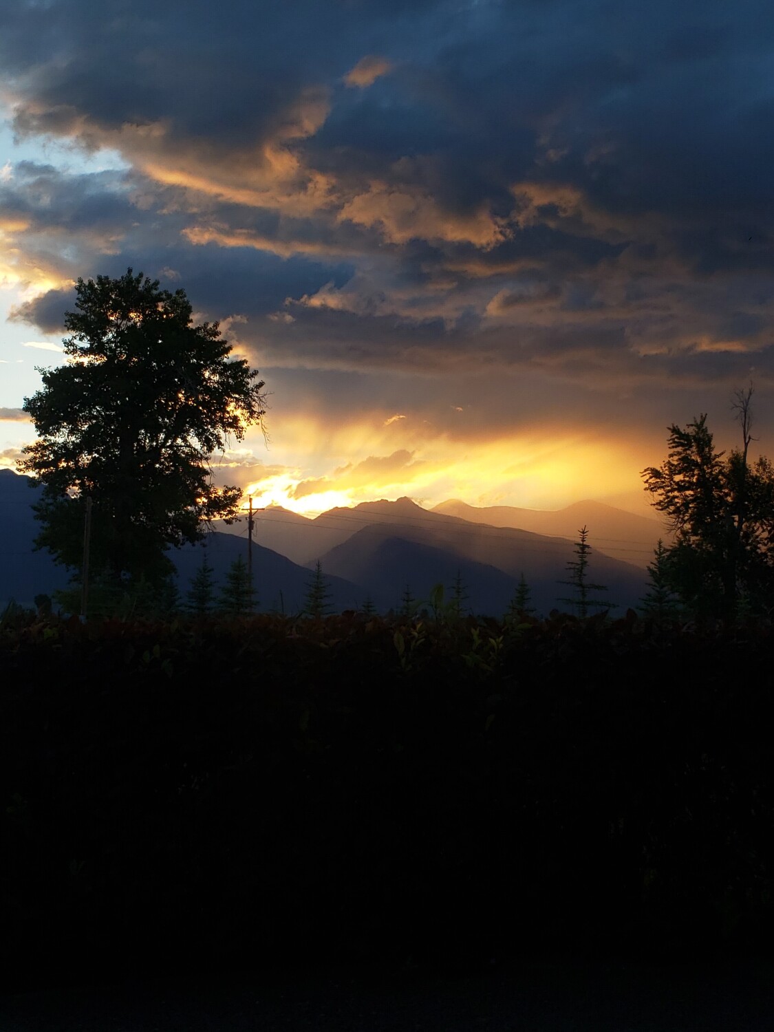 Montana Heavens