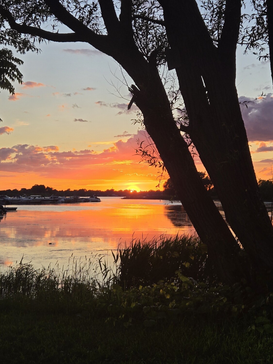 Sunset at the marina.