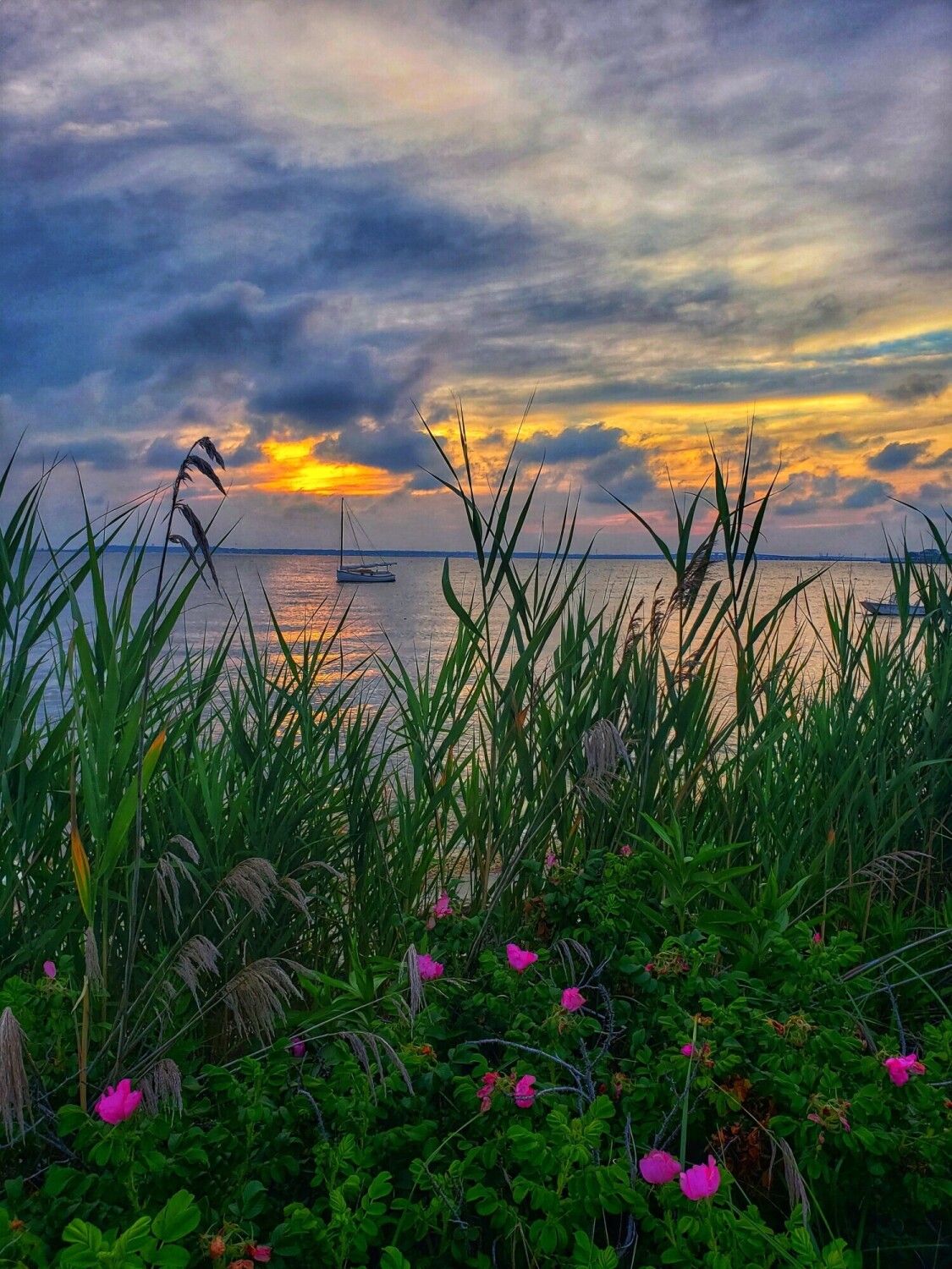 Down by the Bay