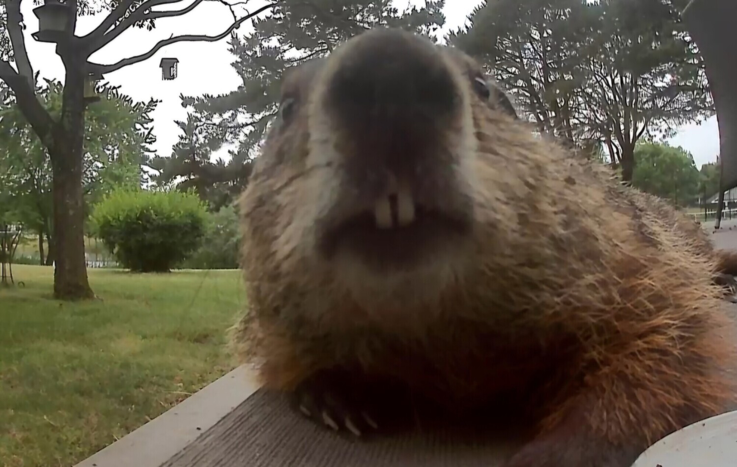 Hi There