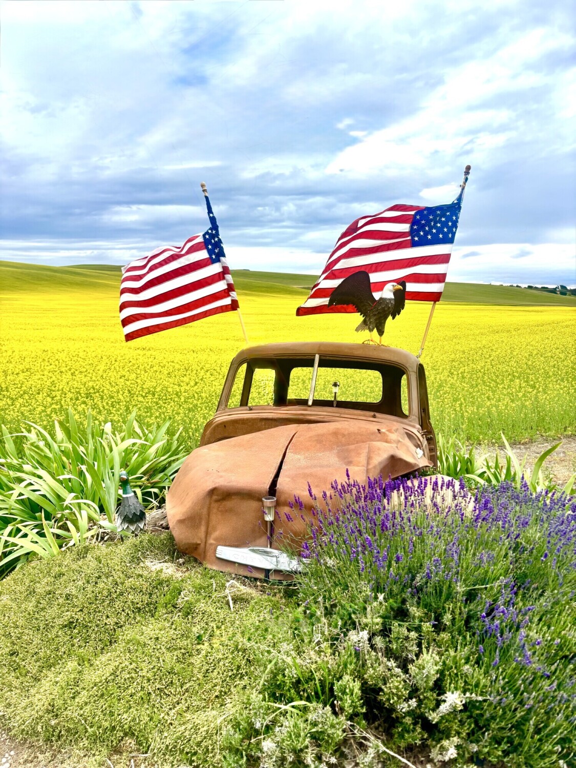Old Glory in a field of Canola