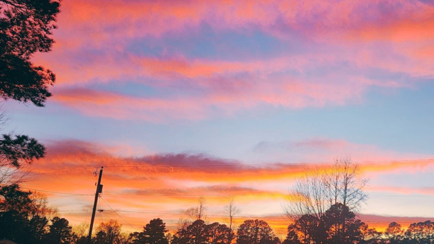 Pink Sky of love