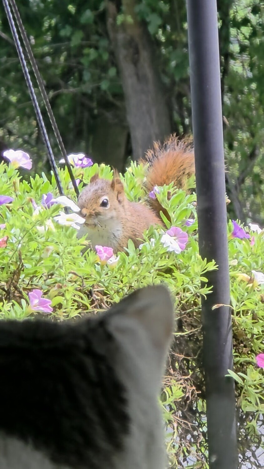 I see you!