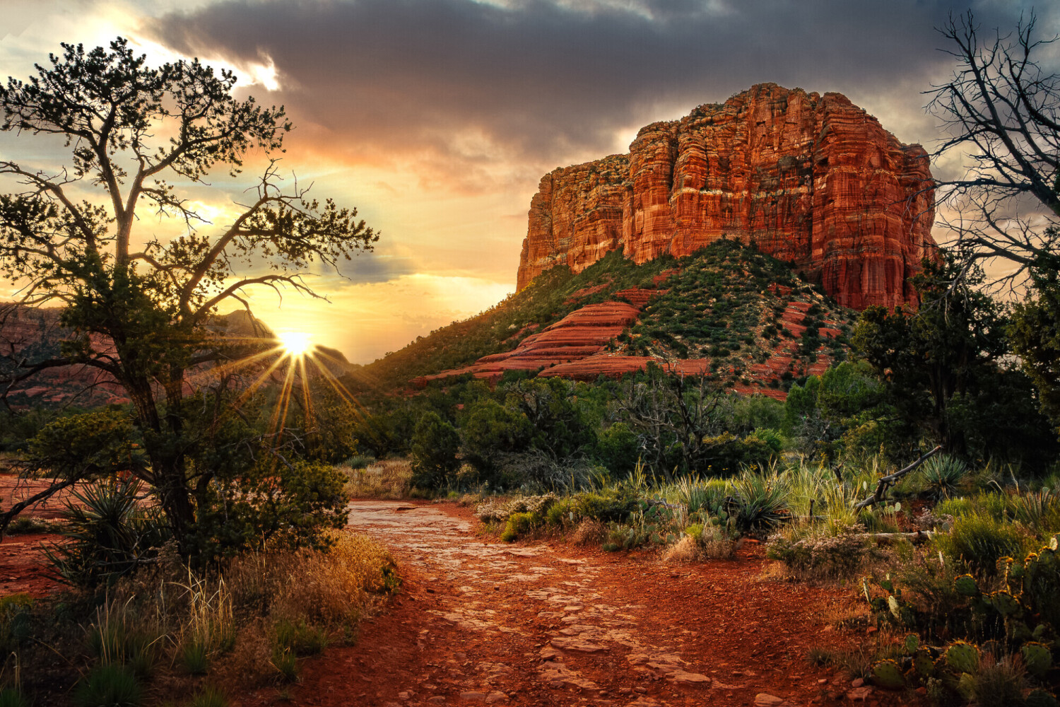 Sedona Awakens