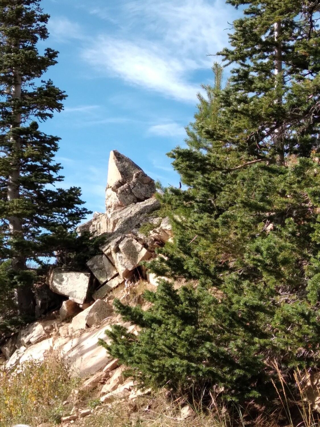 Elevation 11,000ft