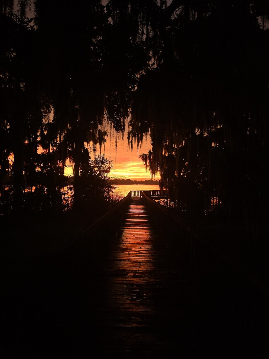 Orange sunset