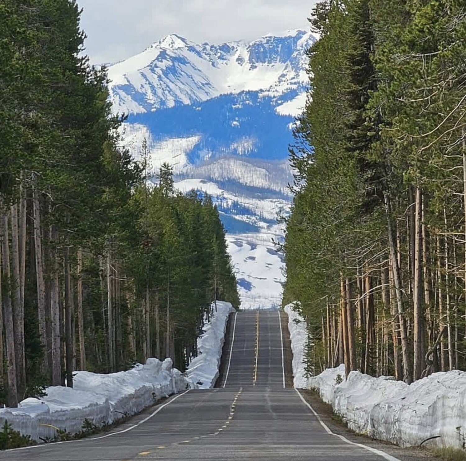 Montana