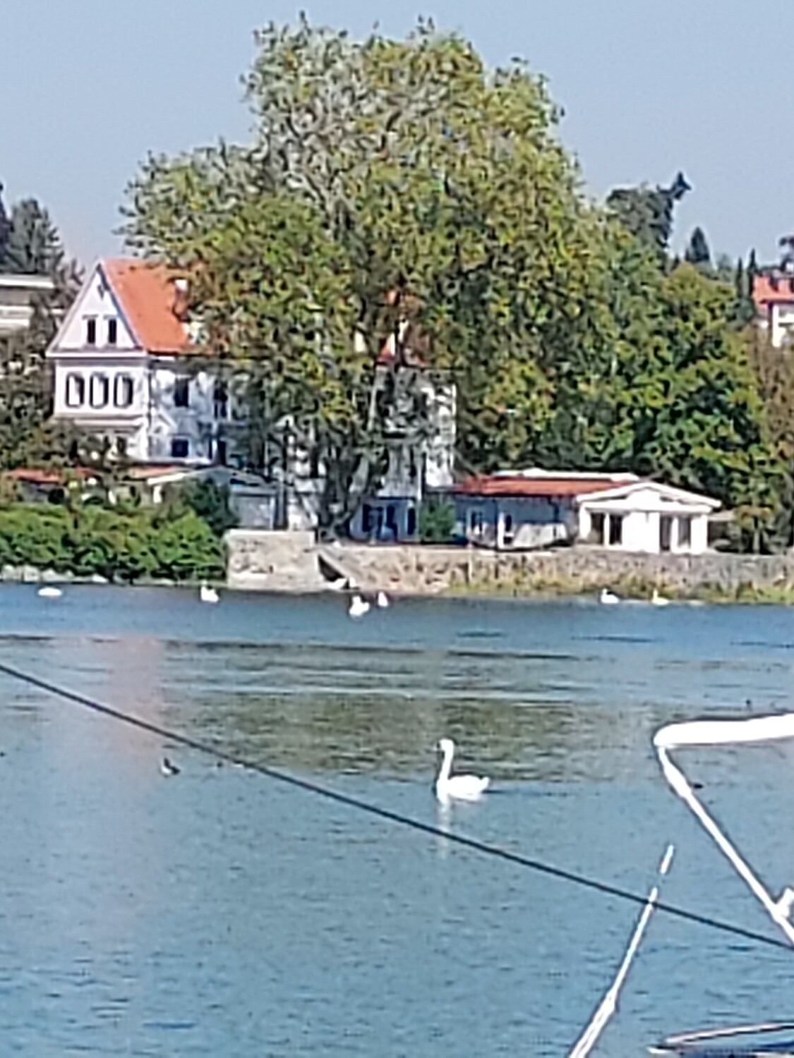 Insel Lindau