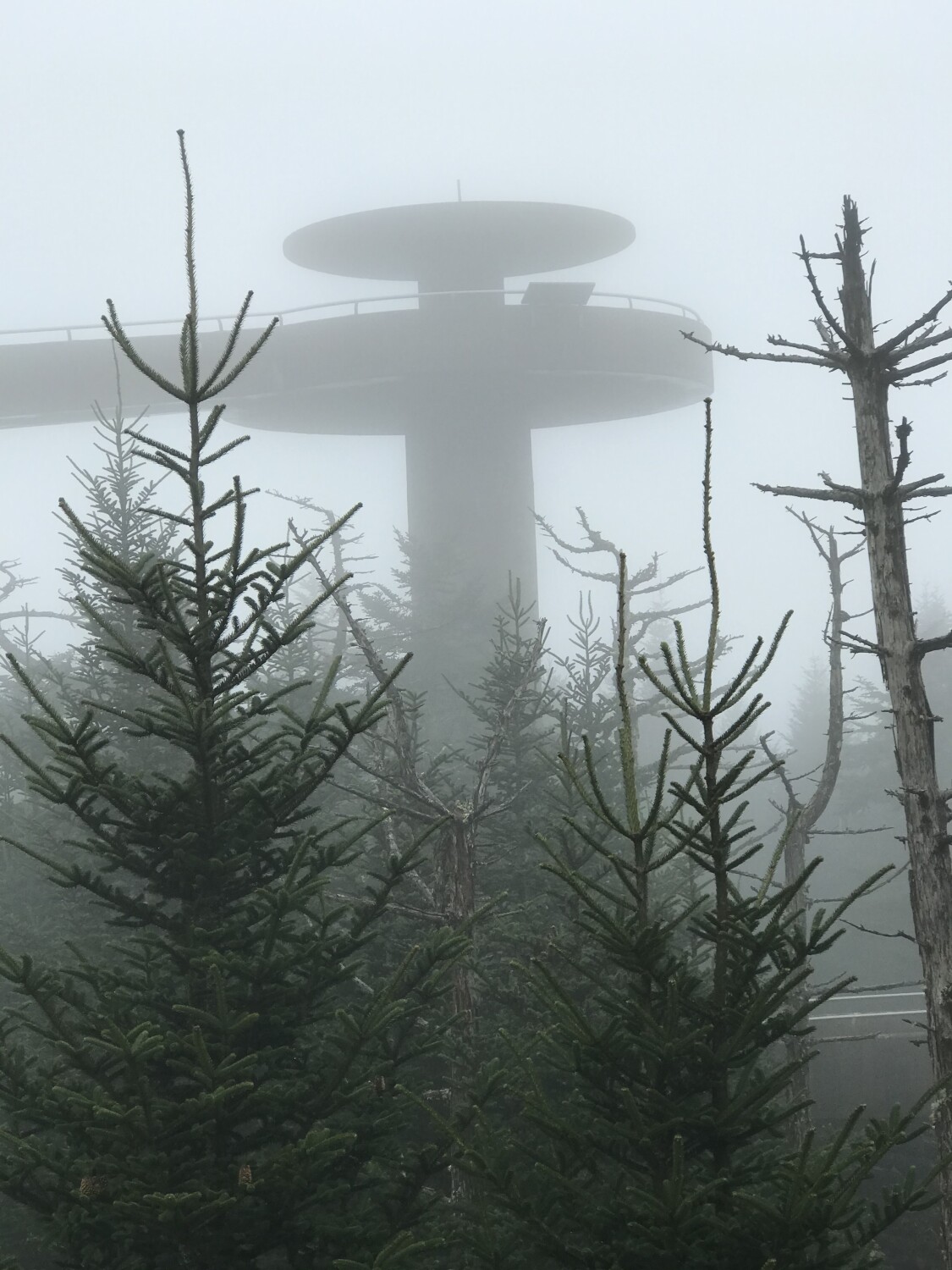 Cling man’s Dome in the mist