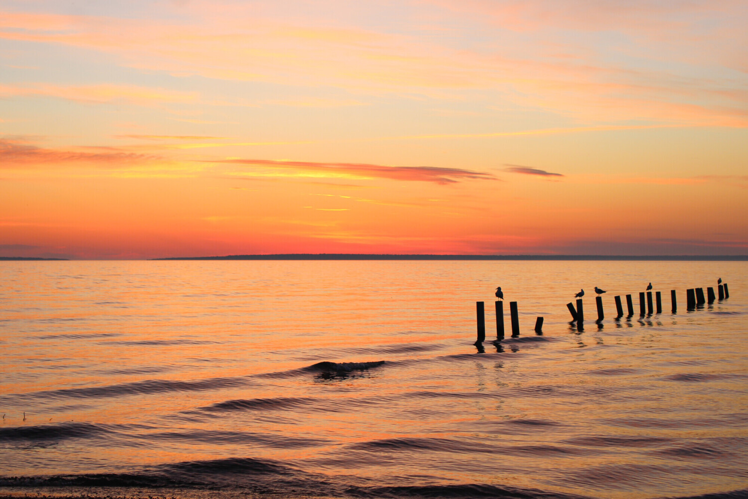 Waiting for the Sun