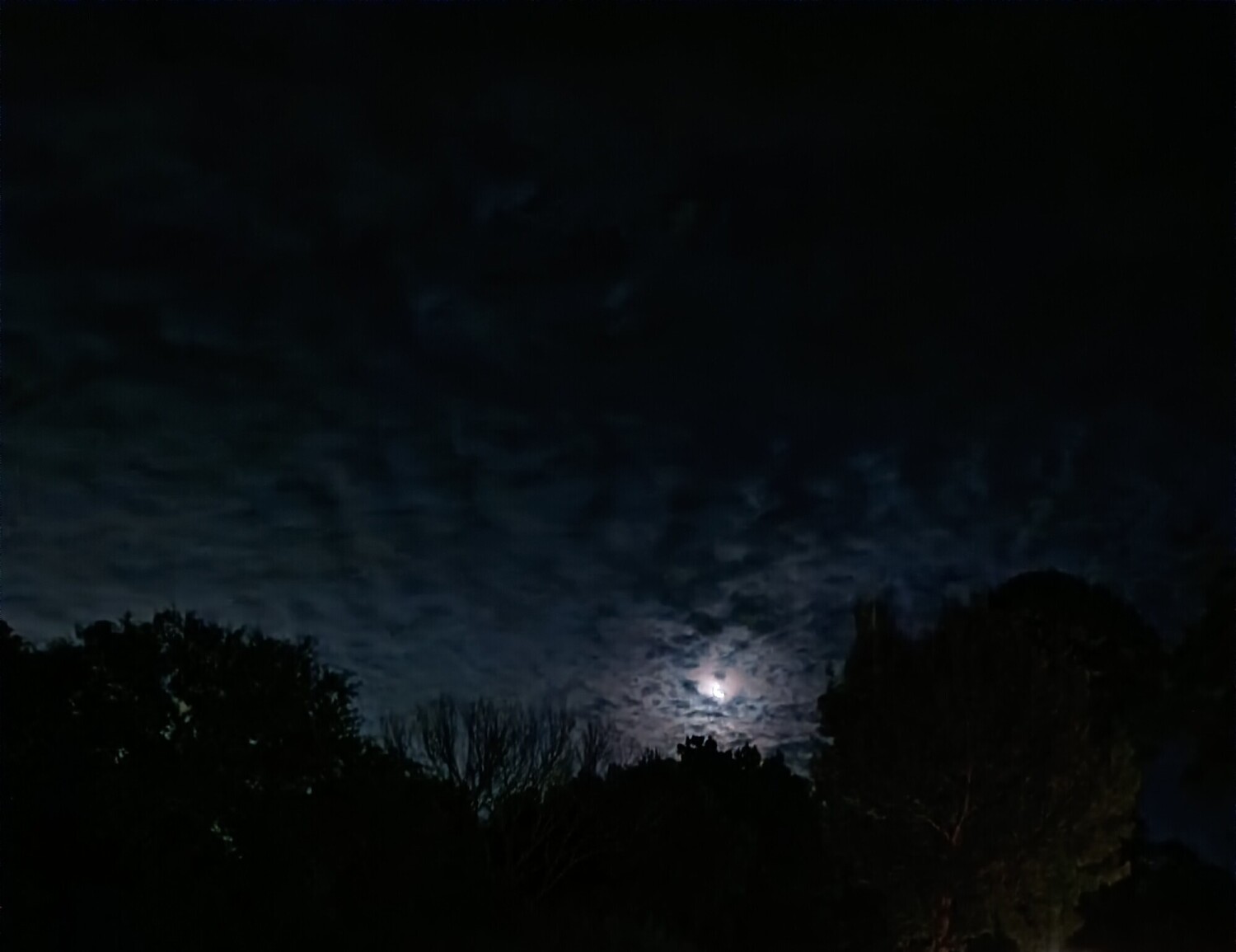 Night Light
