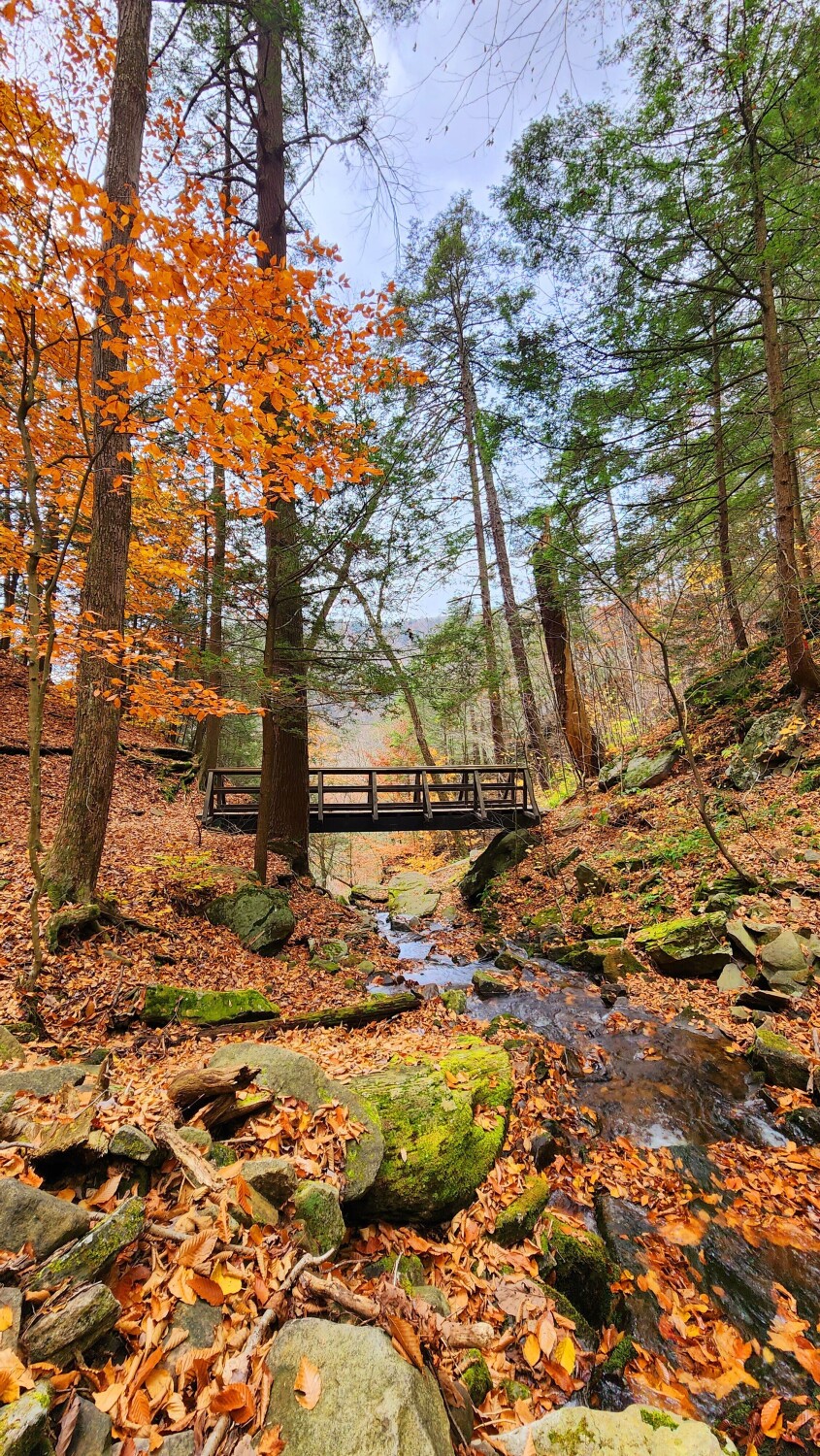 The Fall Bridge