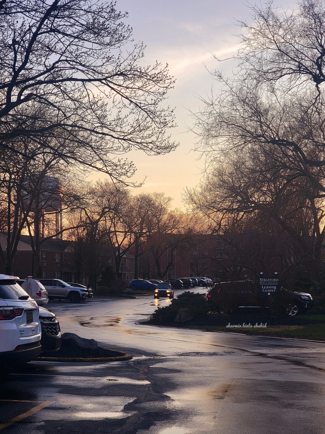Glistening Horizon