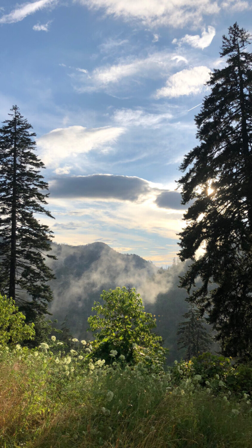 Morning Veil