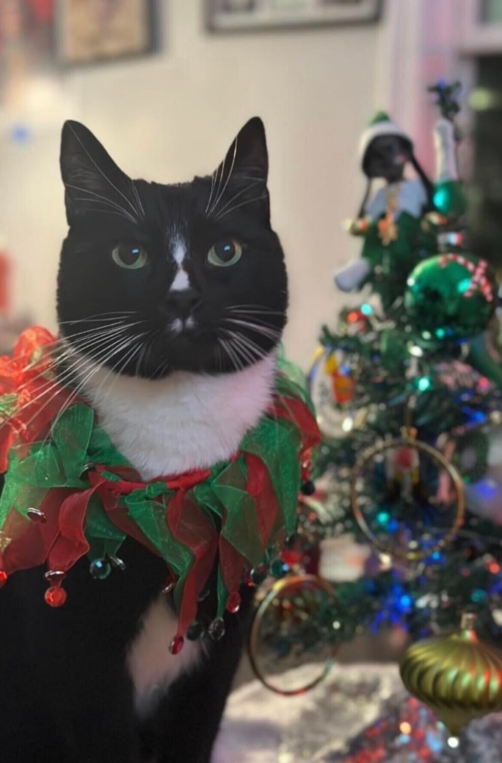 Christmas with P