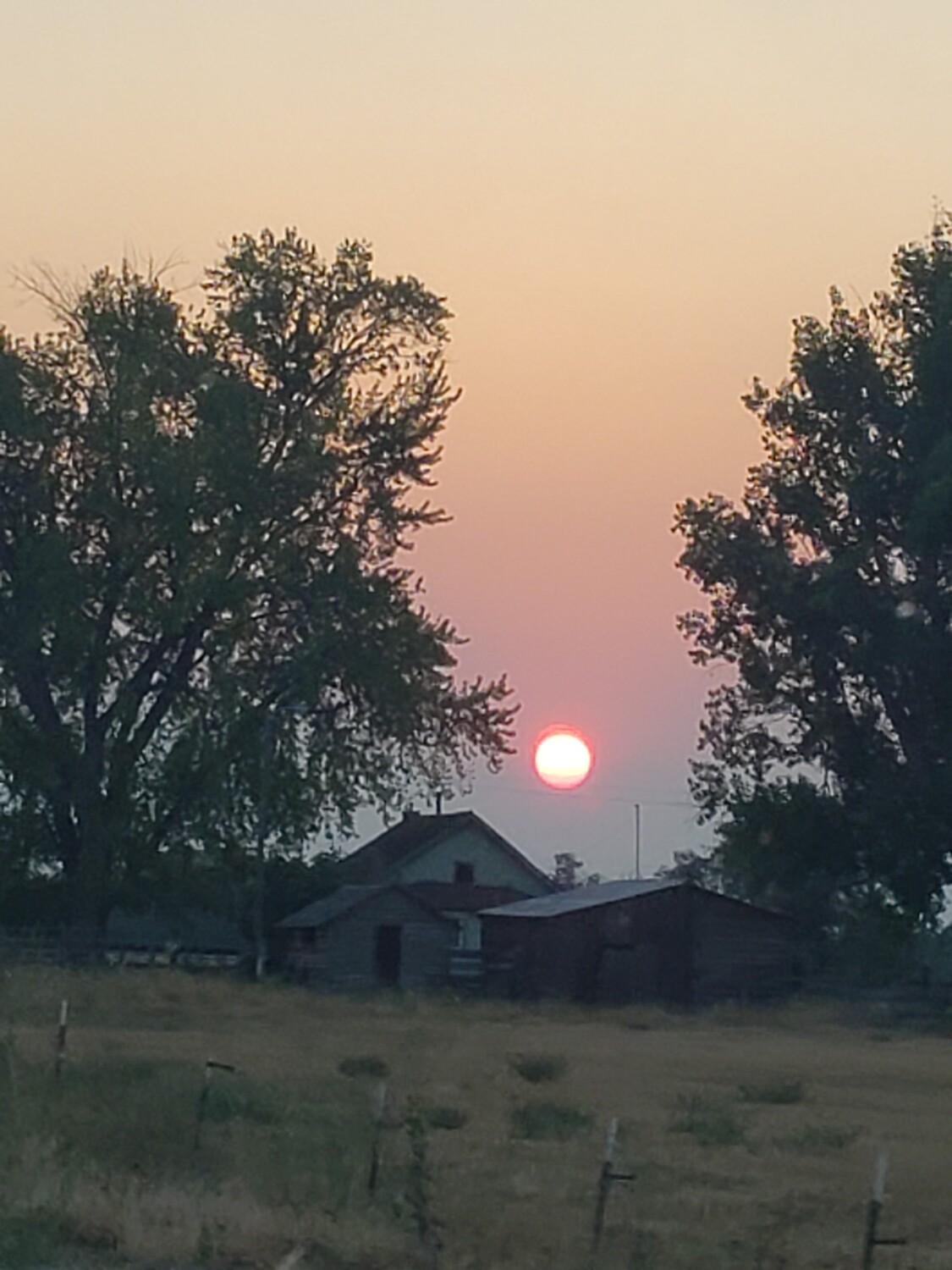 Reitz Sunset in August