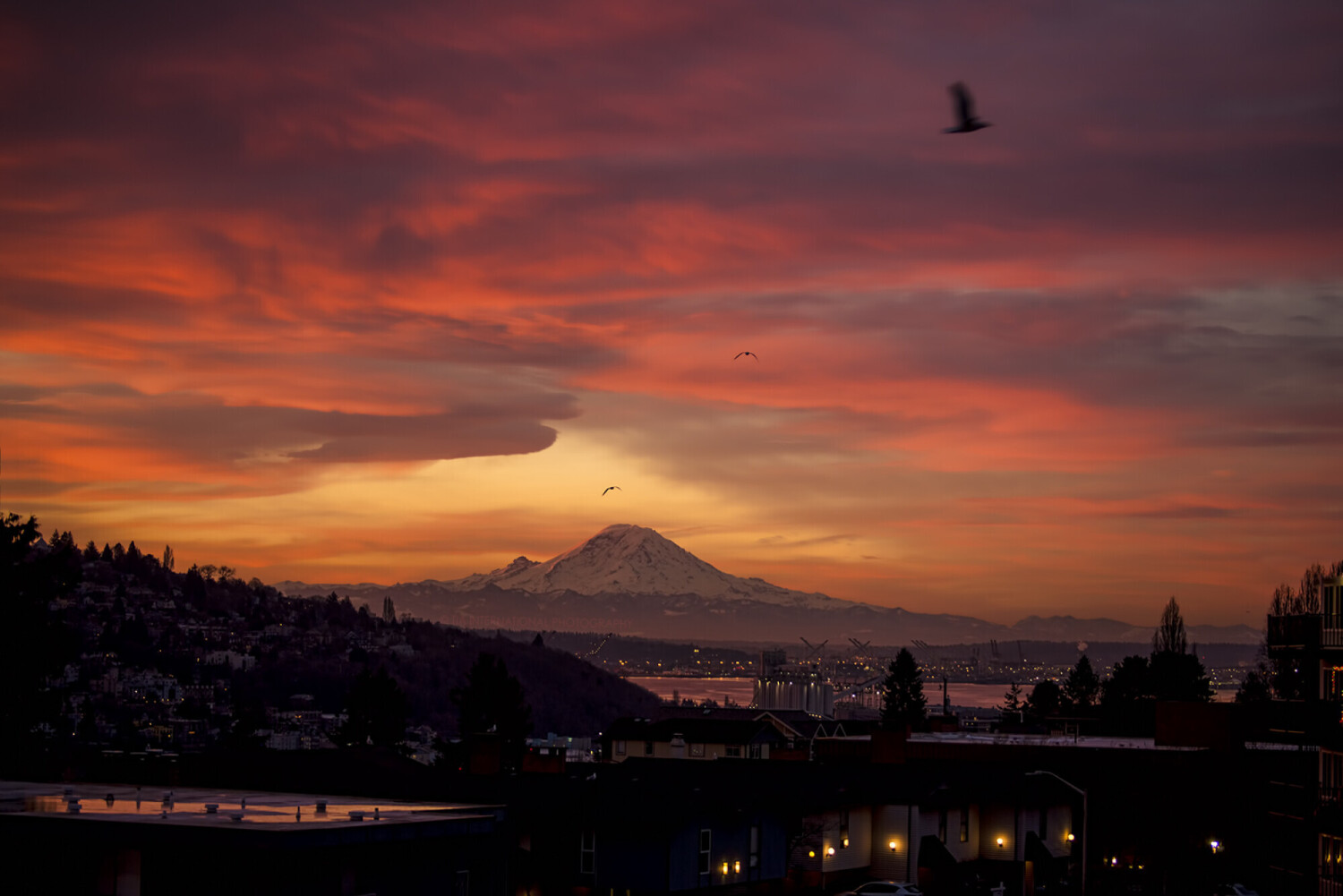 An Auspicious Dawn / Seattle, Washington, USA