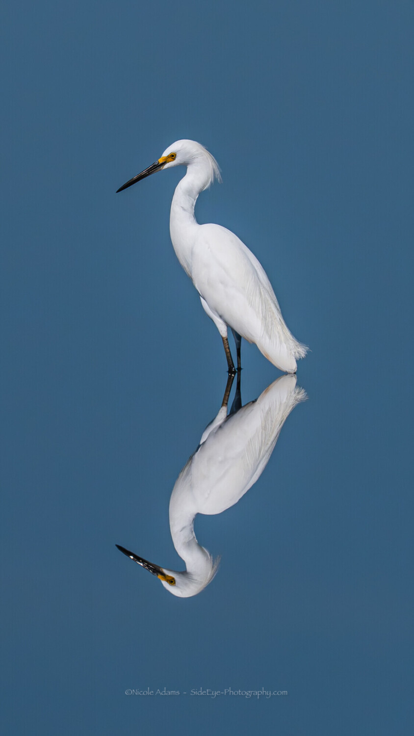 Seeing Double