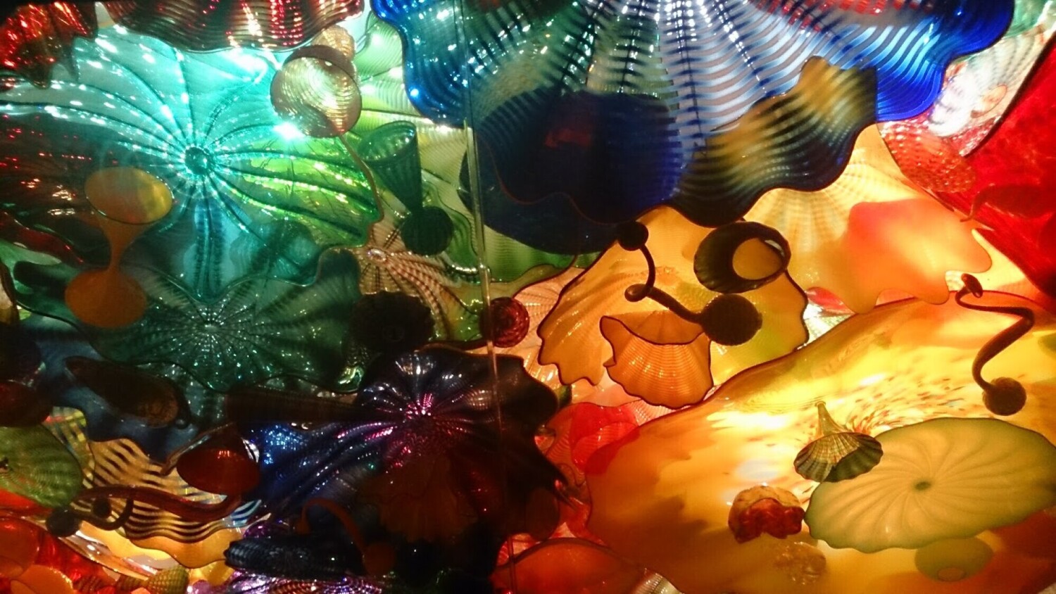 A Chihuly Ceiling Installation of Color & Light