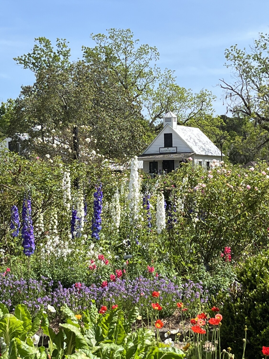 Boone hall plantation garden