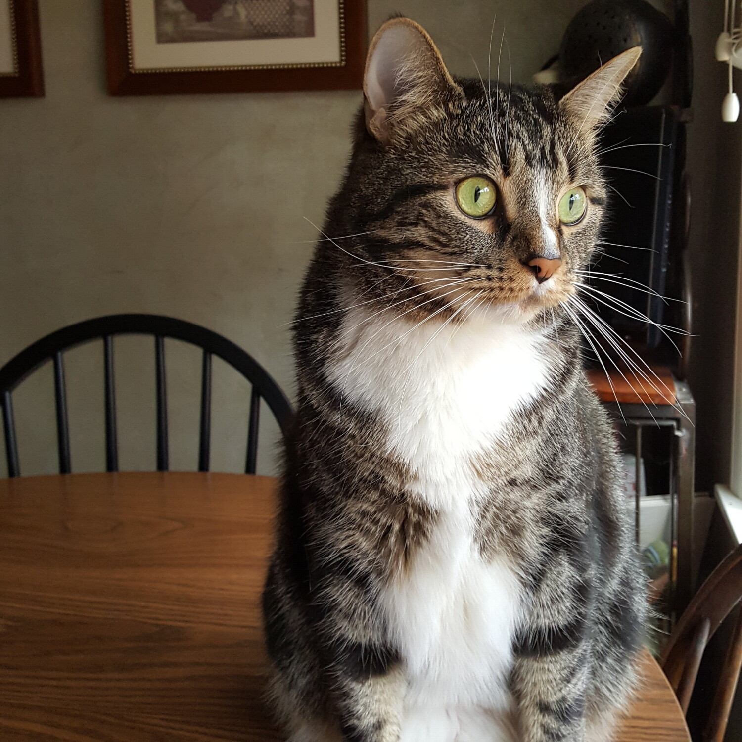 Contemplating dinner