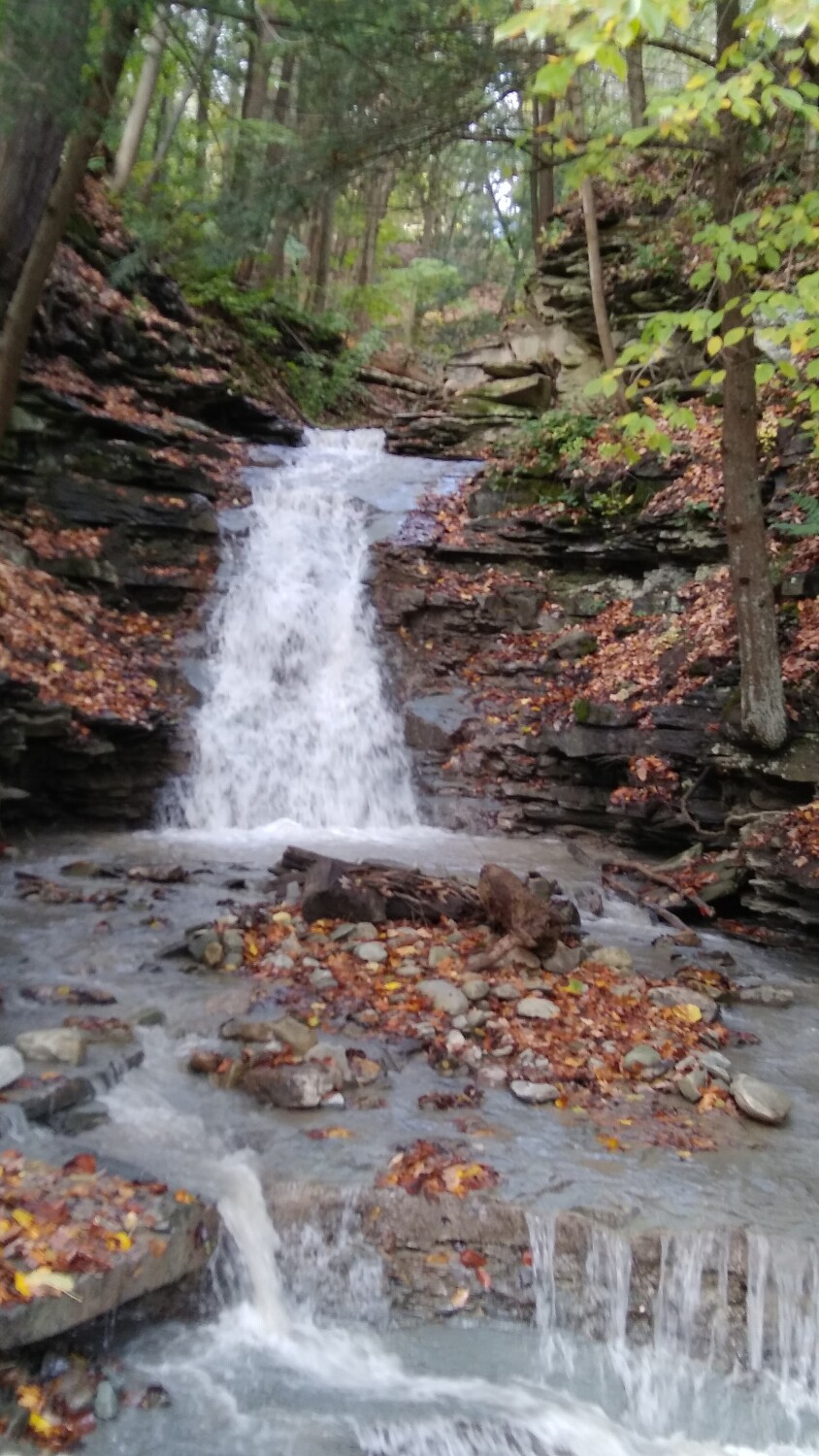 Waterfall in the woods