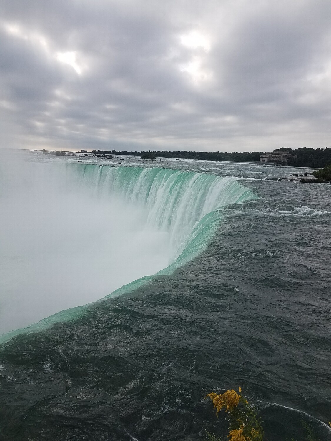 Dreams do come true!